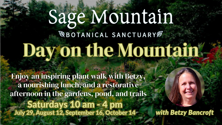 The Fen – Sage Mountain Botanical Sanctuary