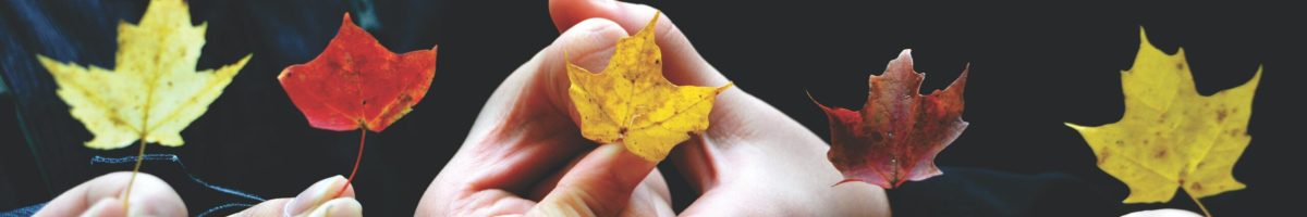 Sage Mountain Afterschool in Nature